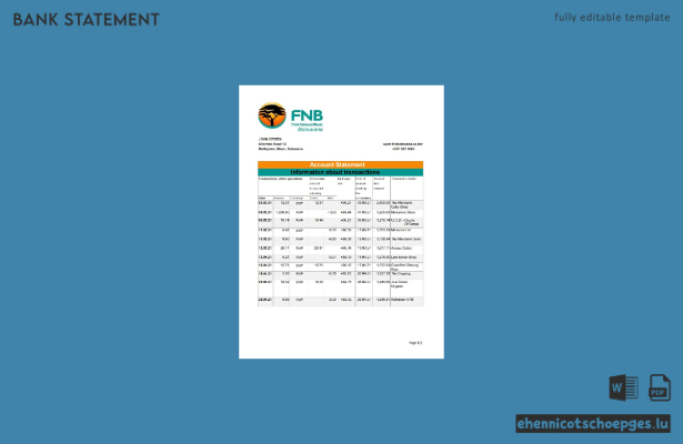 Beispiel-Excel-Vorschau eines Kontoauszugs der FNB Botswana